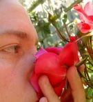 roseSmell_opt
