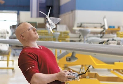 israel-uav-butterfly