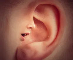 images-4