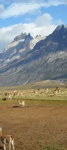 Chile_topo_en
